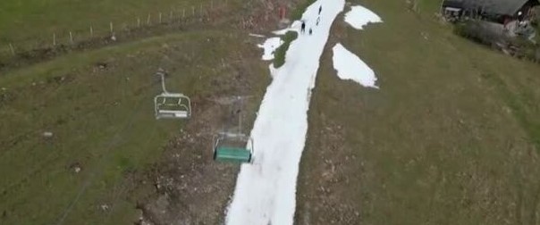 Лишени от характерния си пухкав сняг поради необичайно топлото време